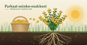 Kuvitus, jossa syvälle juurtuneessa varvussa kasvaa marjojen sijaan kultaisia eurokolikoita, jotka putoavat tuohikoriin metsämaisemassa otsikon "Parhaat osinko-osakkeet – vakaat juuret, tasainen sato" alla.